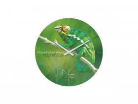 Часы настенные Nicole Time NT503 в Раисино - raisino.mebel-nsk.ru | фото